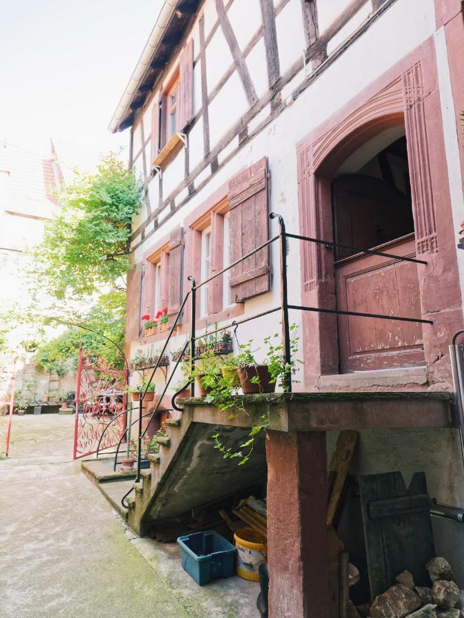 Le Relais Des Seigneurs - 5 Mn Royal Palace De Kirrwiller Appartamento *