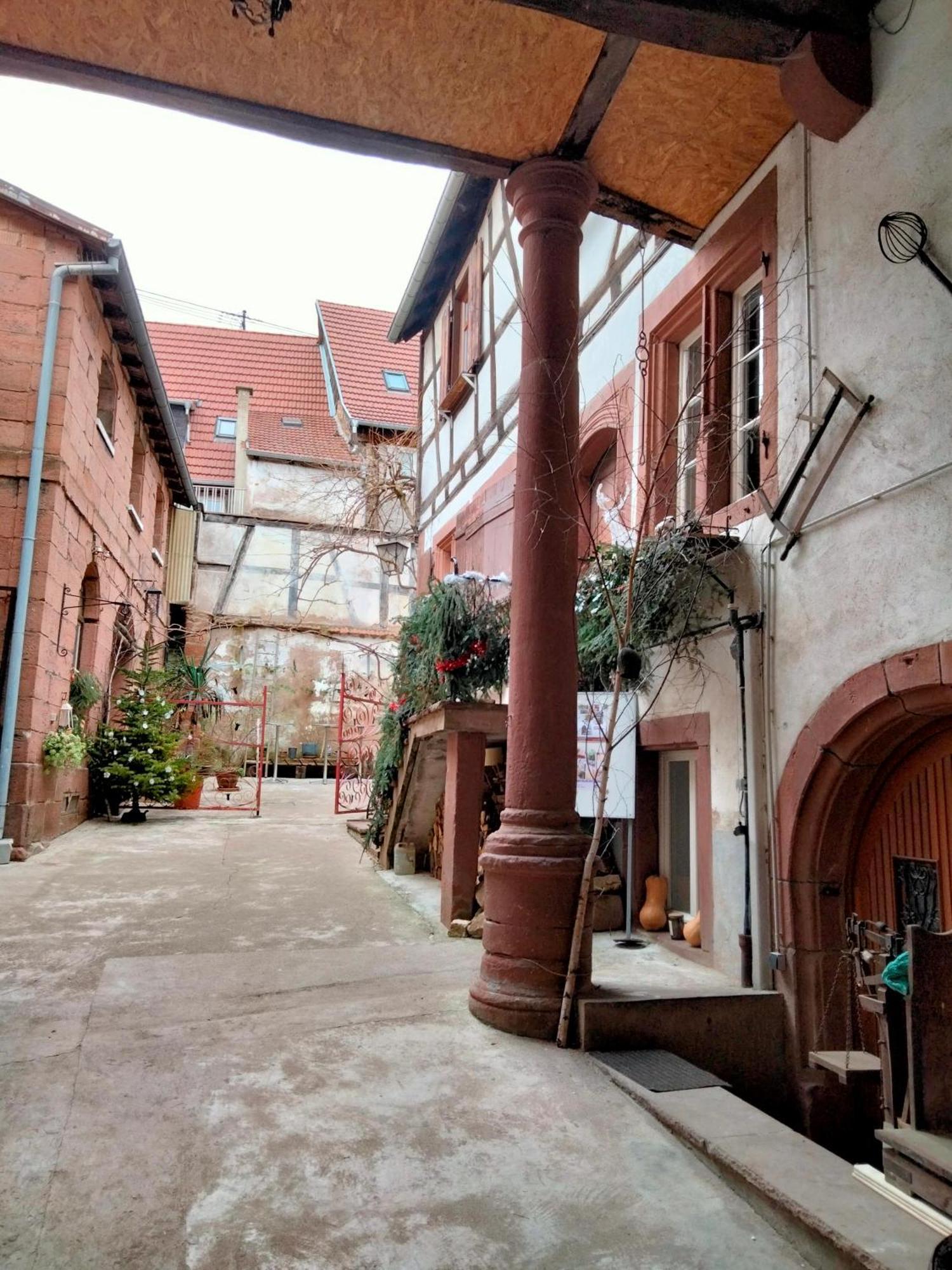 Le Relais Des Seigneurs - 5 Mn Royal Palace De Kirrwiller Apartment